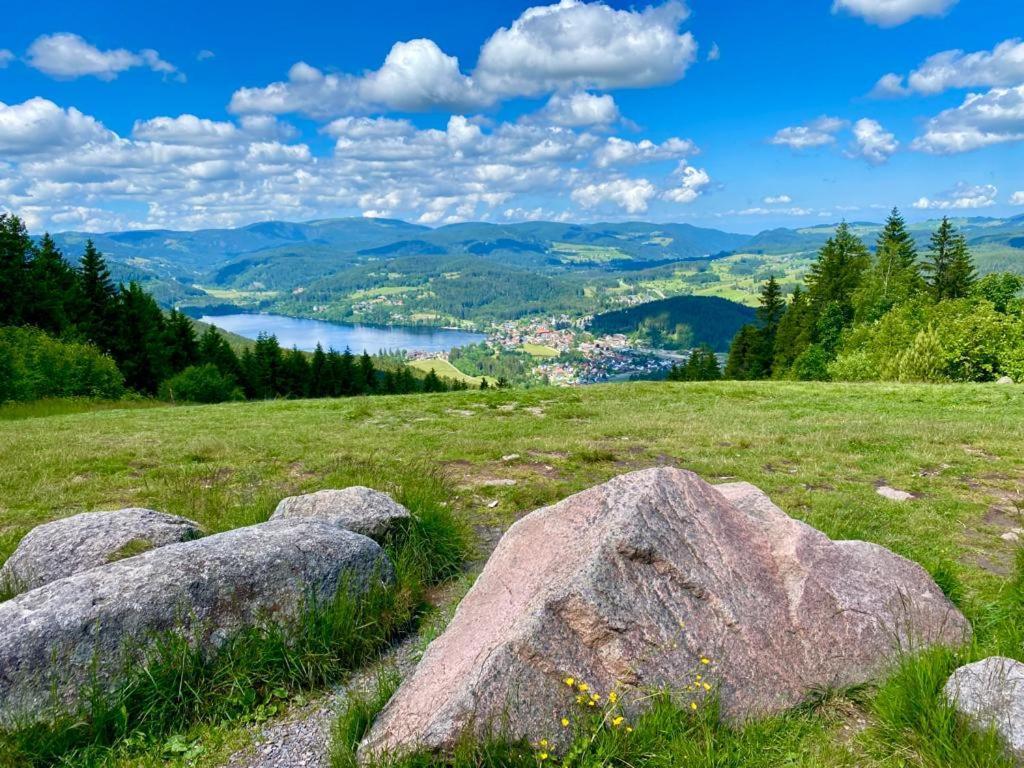 Gaestehaus Steiert Fewo Kuhbergblick Lenzkirch Exterior photo